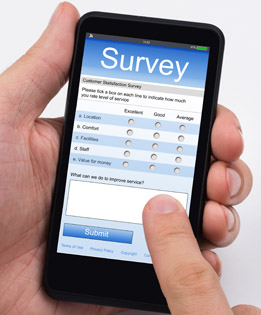 mobile survey system